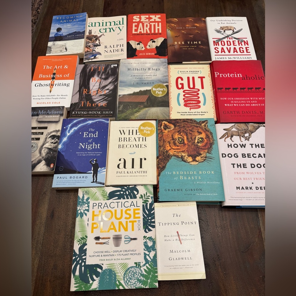 Indigo Book Collection with Diverse Covers